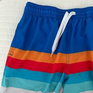 New without tags! Chubbies swim shorts!